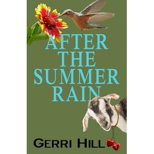 After the Summer Rain | Gerri Hill (ISBN: 9781642470710)