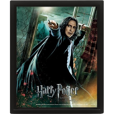 Harry Potter Obraz 3D - Snape