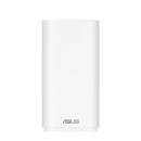 ASUS BD4 Outdoor (90IG09A0-MO3B60)