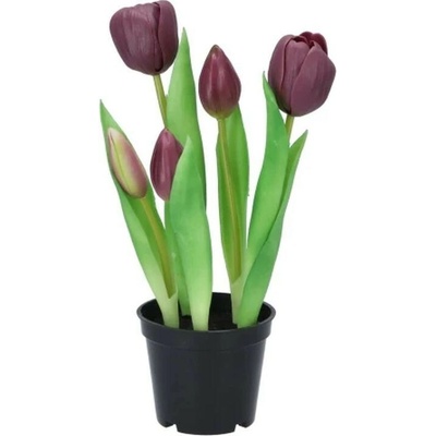 5ks fialový realistický tulipán Tulips v kvetináčiku - 26 cm - daan kromhout