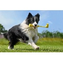 Insta360 Aportovací tyč GO 3 INST480-08