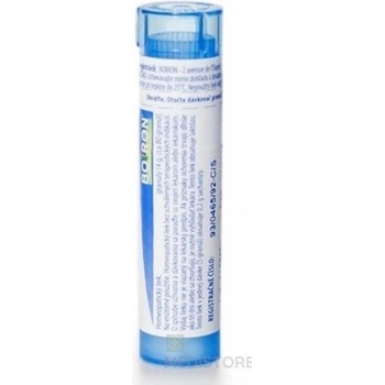 Solanum Malacoxylon gra.1 x 4 g 9CH