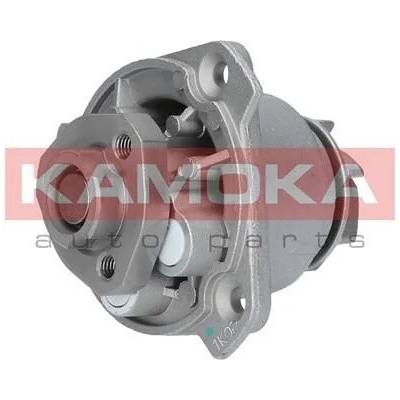 KAM-T0256