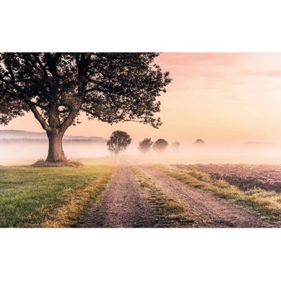 Komar Vliesová fototapeta Misty Morning rozměry 400 x 250 cm