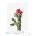 Принт Кактус Walking Stick Cholla, Мери Во Уолкът - репродукция (Print1022)