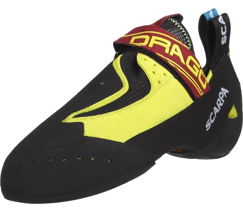 Scapra Drago