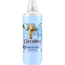 Coccolino Blue Splash 1,05 l