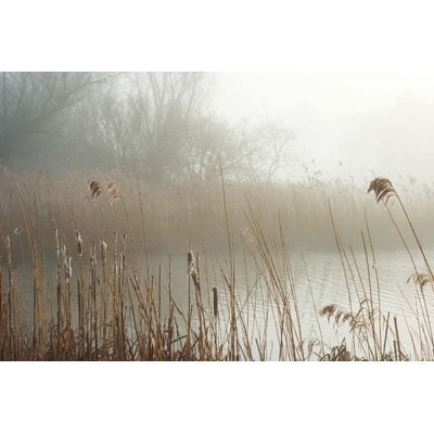 DIMEX ART Флизелинов фототапет мъглив бряг 375 x 250 см