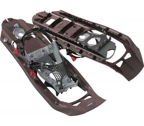 MSR EVO Trail iron