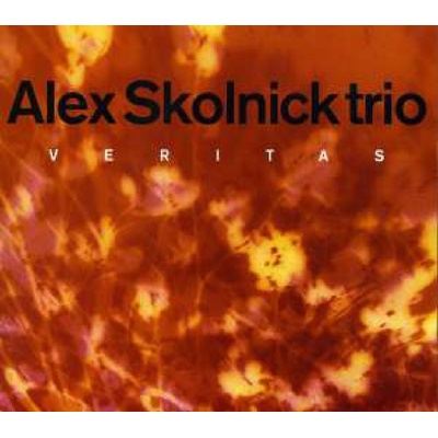 SKOLNICK ALEX -TRIO-: VERITAS CD