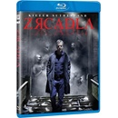 Zrcadla BD