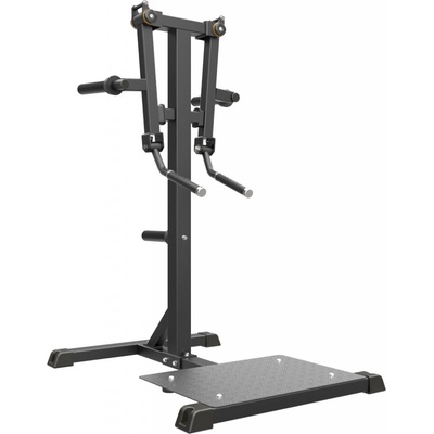 IMPULSE Standing Lateral Raise