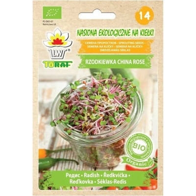 Ředkvička China Rose – BIO semínka na klíčení 20g