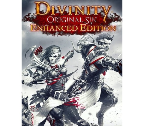 Divinity: Original Sin (Enhanced Edition)
