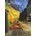 Piatnik - Puzzle Vincent Van Gogh: Caféterrasse am Abend - 1 000 piese
