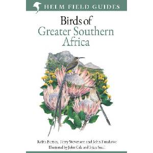 Field Guide to Birds of Greater Southern Africa | Terry Stevenson, John Fanshawe, Keith Barnes (2024)
