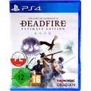 Pillars of Eternity 2: Deadfire