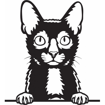 Vsepropejska Lykoi vlkodlačí kočka dřevěná dekorace na zeď Rozměr (cm): 38 x 34 – Hledejceny.cz
