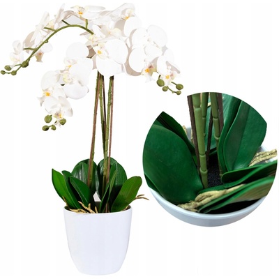 Pokojová rostlina ViviArt orchidej bílá 70 cm – Hledejceny.cz