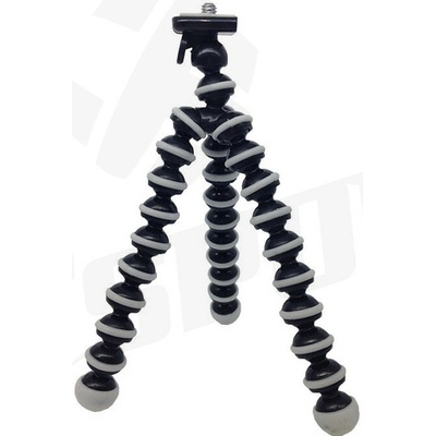 Octopus Rollin TM-19