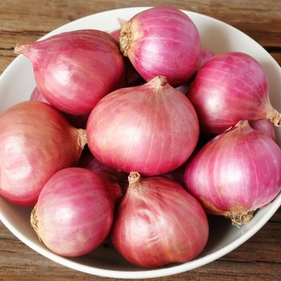 Cibuľa šalotka Camelot F1 Allium cepa predaj semien 50 ks