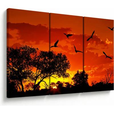 Obraz vtákov pri západe slnka, trojdielne 120x80 cm