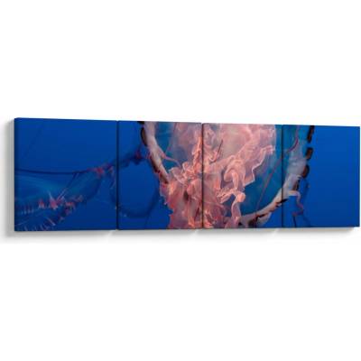 Obraz medúzy, štvordielne 160x40 cm