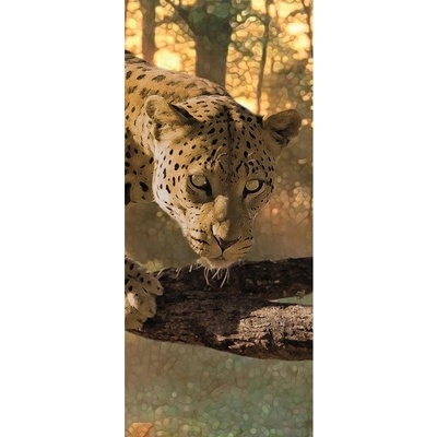 Preinterier Fototapeta - DV0487 - samolep. fólia - 91cm x 211cm