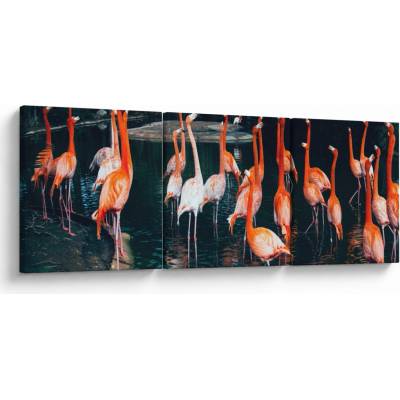 Obraz stáda plameňáků, třídílný 90x30 cm