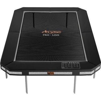 Avyna PRO Line Inground 238 cm