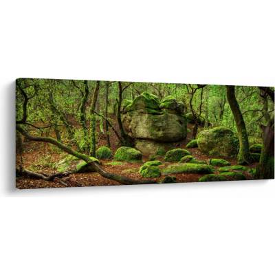 Obraz čarovného lesa, jednodielne 145x58 cm