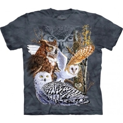The Mountain Find 11 Owls sivé