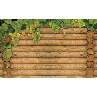 Preinterier FT3121 Fototapeta na stenu Vinič na drevenej stene vlies 104cm x 70cm