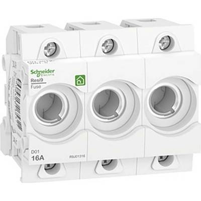 Schneider Electric R9J01316 pätice poistky Veľkosť poistky = D01 1 ks