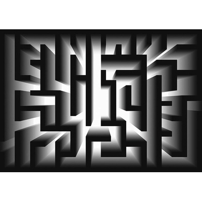 Preinterier FT2246 Fototapeta na stenu 3D - Labyrint – čierny vlies 104cm x 70cm