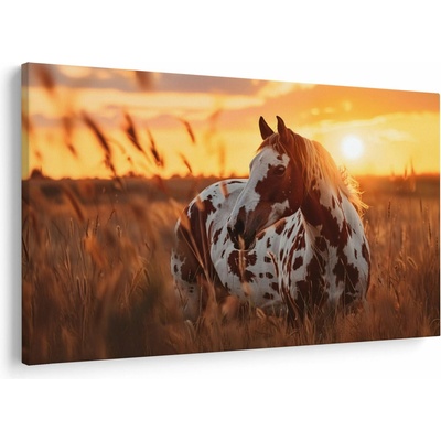 Obraz - Kůň při západu slunce, jednodílný 120x80 cm