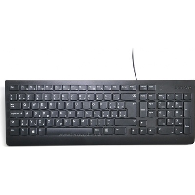 Lenovo Essential Wired Keyboard 4Y41C68673