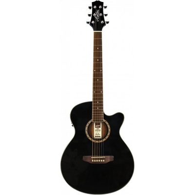 Ashton SL29CEQ BK – Hledejceny.cz