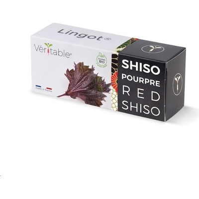 Véritable Lingot Fialový shiso BIO