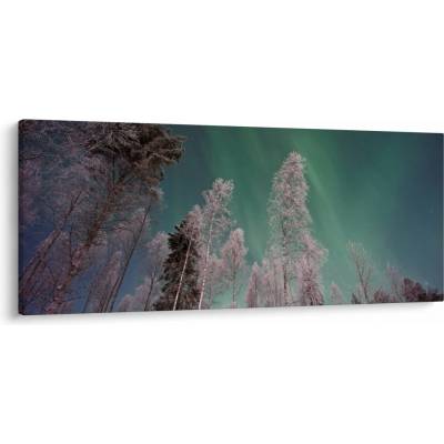 Obraz polárna žiara nad zamrznutými stromami, jednodielne 120x50 cm
