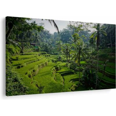 Obraz rýžových teras Tegalalang, Bali, jednodílný 120x80 cm