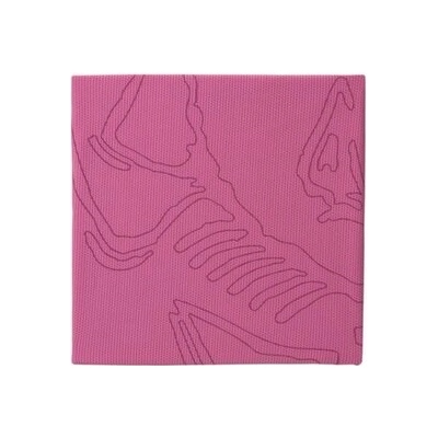 Arcteryx Sinsolo ružová