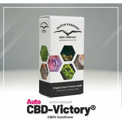 Dutch Passion Victory CBD semienka neobsahujú THC 7 ks