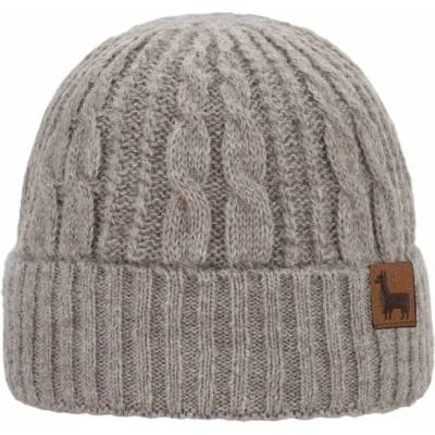 Čiapka P.A.C. Alpasa Beanie Grey