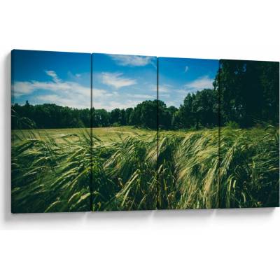 Obraz lúky a lesa, štvordielne 160x80 cm