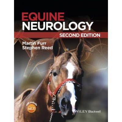 Equine Neurology