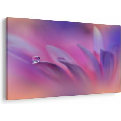 Obraz - Kvapka na kvete, jednodielne 150x100 cm
