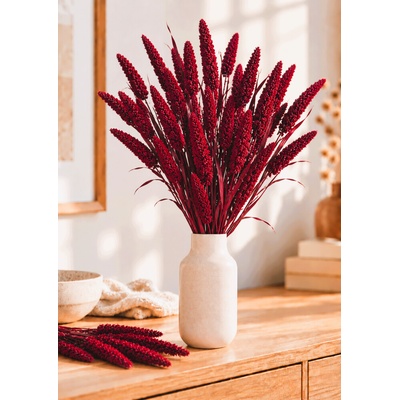 Setárie sušená vínová (Setaria Italica), svazek 150g – Hledejceny.cz