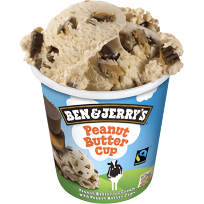 Ben & Jerry's Peanut Butter Cup zmrzlina 465 ml