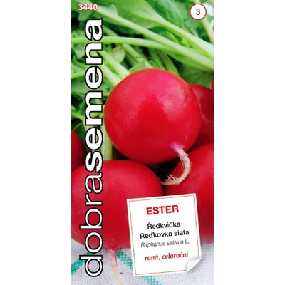 Reďkovka siata ESTER 3 g Dobrá semena